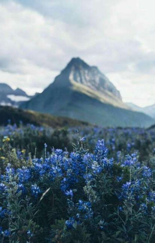 Жизнь