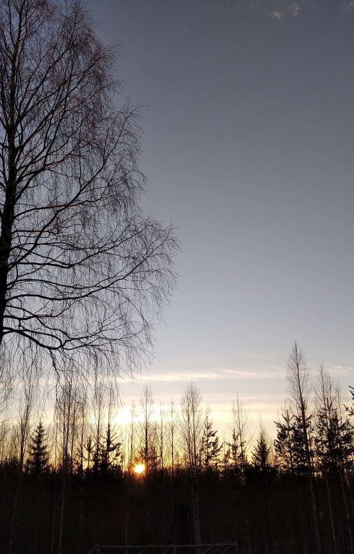 Жизнь