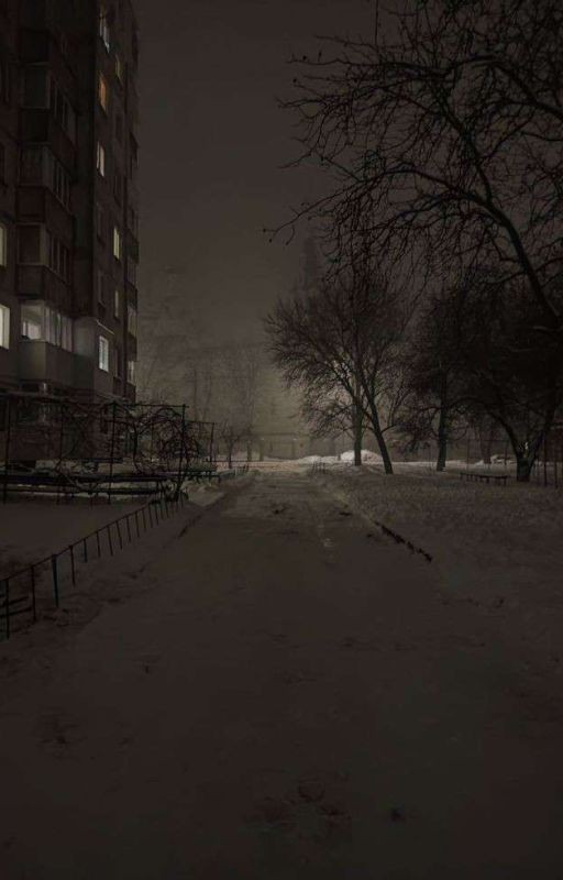 Последняя жизнь