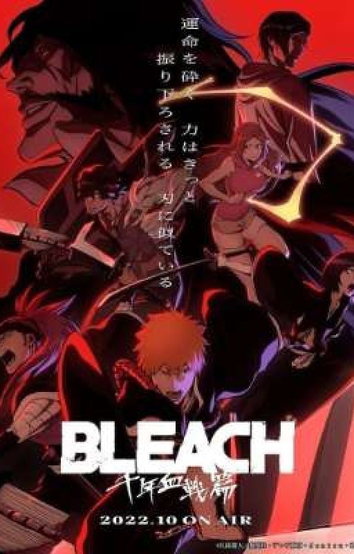Bleach and male/y/n