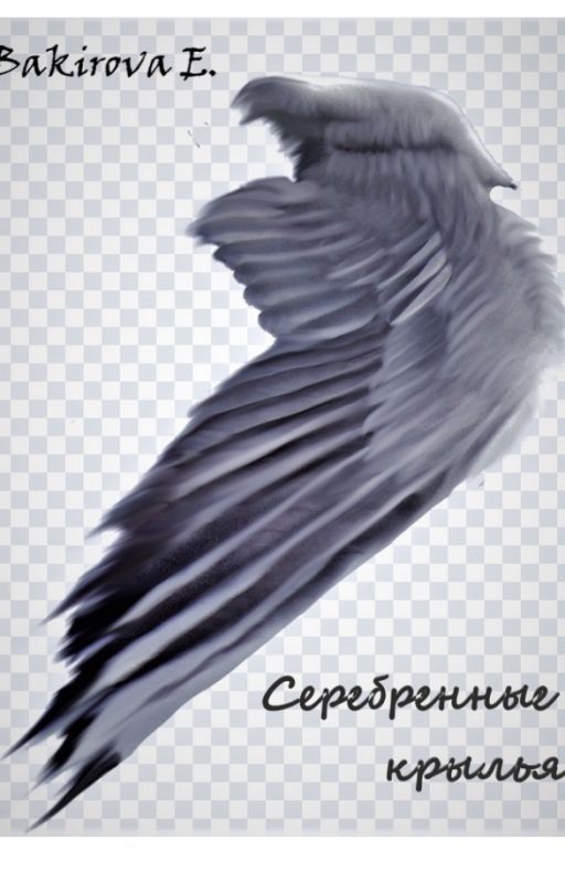 Серебренные крылья