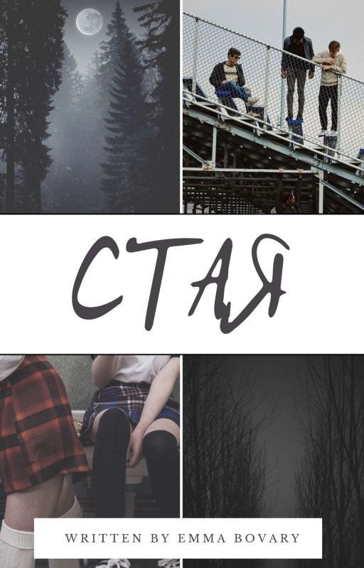 Стая