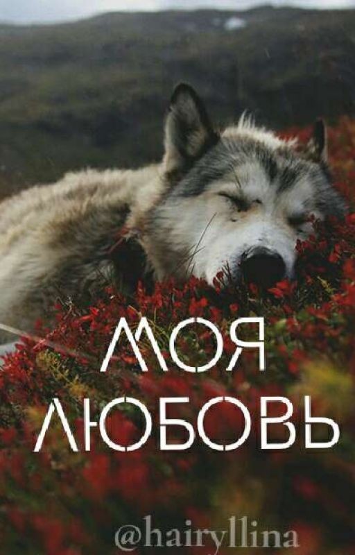 Моя любовь