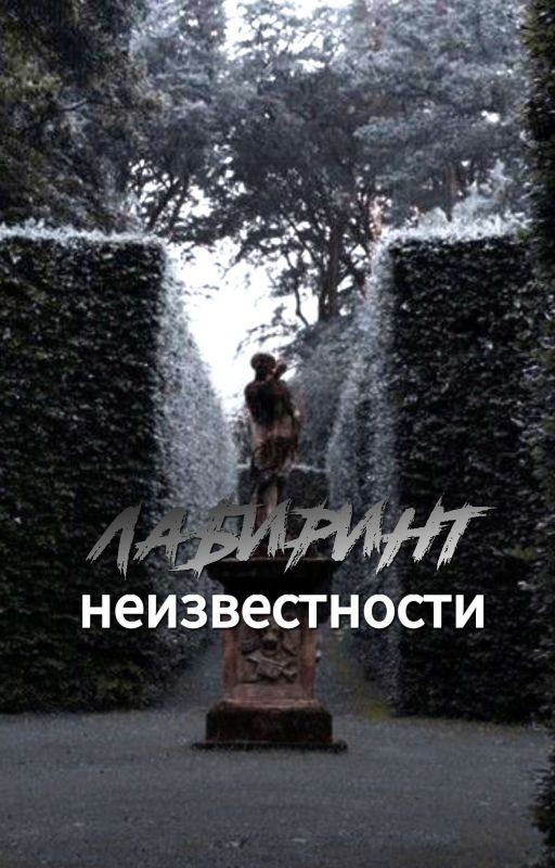 Лабиринт неизвестности| Ян Чонвон