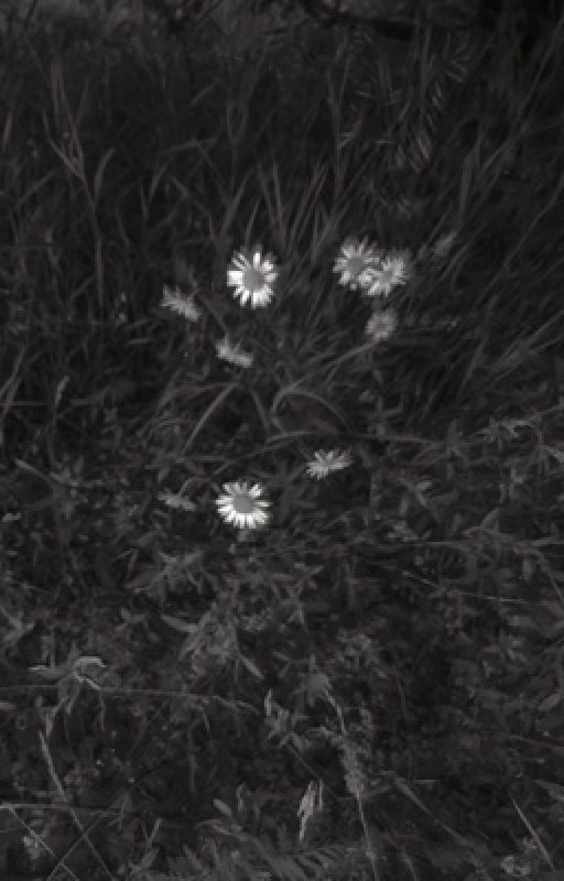 poems of a worthless poet