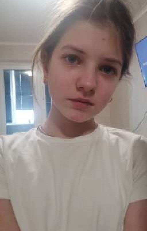 домик сложи