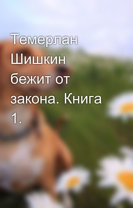 Темерлан Шишкин бежит от закона. Книга 1
