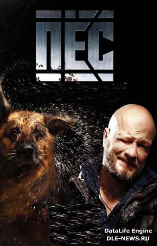 Пес