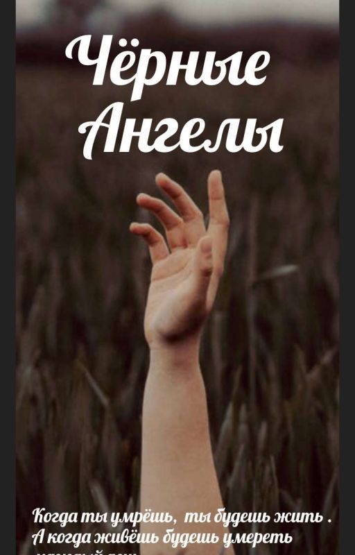 Чёрные Ангелы❧