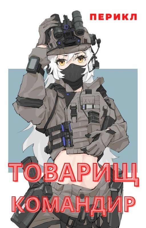 Товарищ командир
