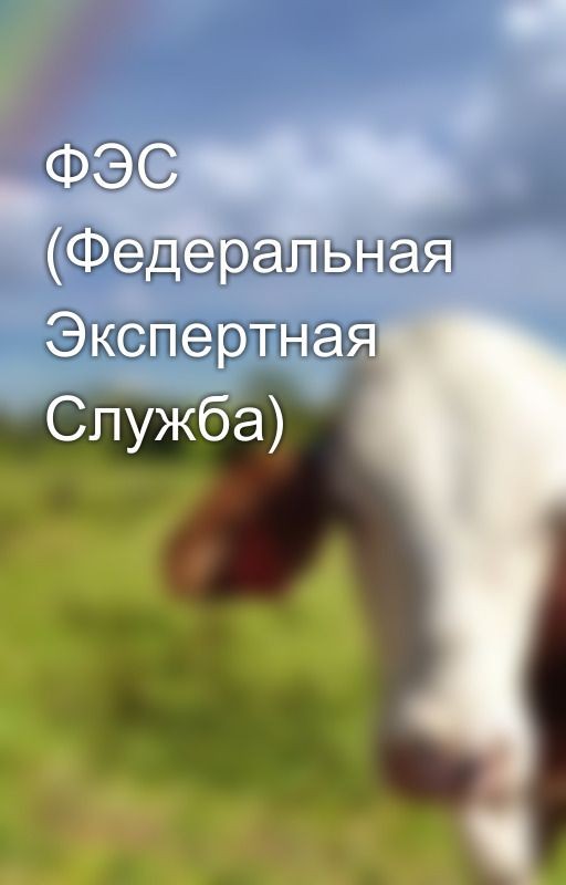 ФЭС (Федеральная Экспертная Служба)