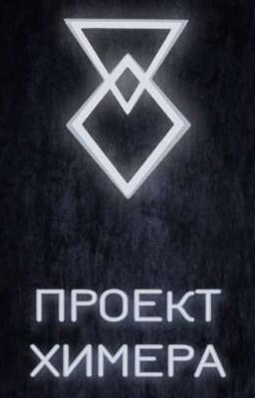Проект: Химера