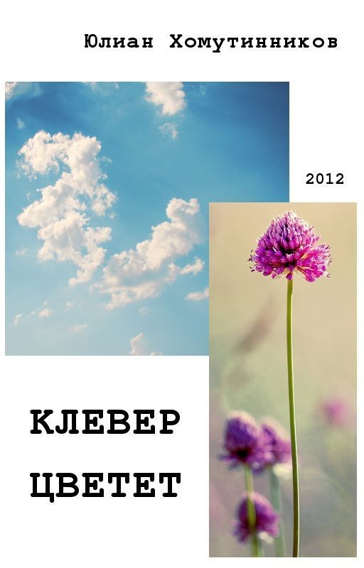 Клевер цветёт