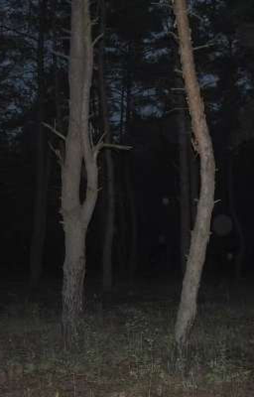 сон