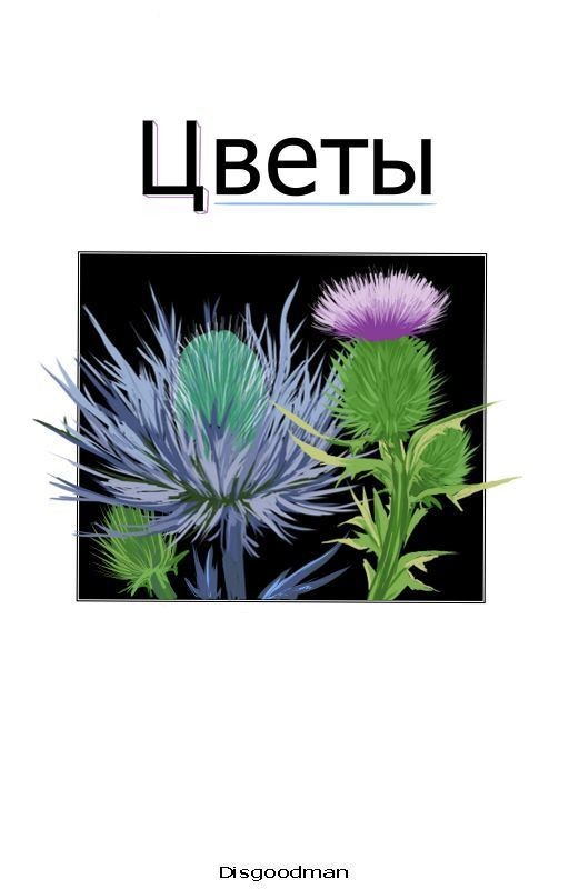 Цветы