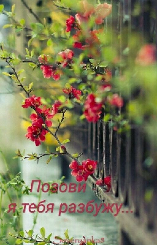 Позови - я тебя разбужу