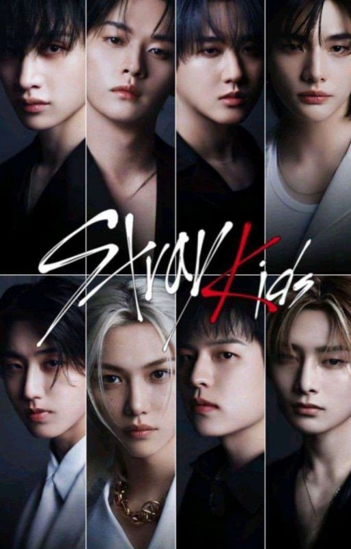 Девятая участница stray kids (новая история)