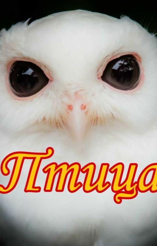 Птица | 18+