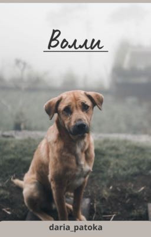 Волли
