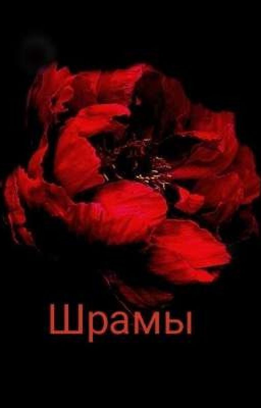 Шрамы