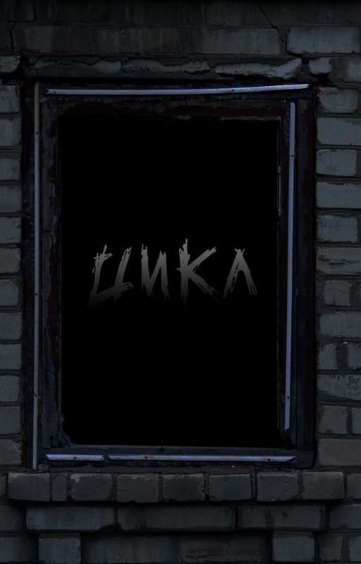 Цикл