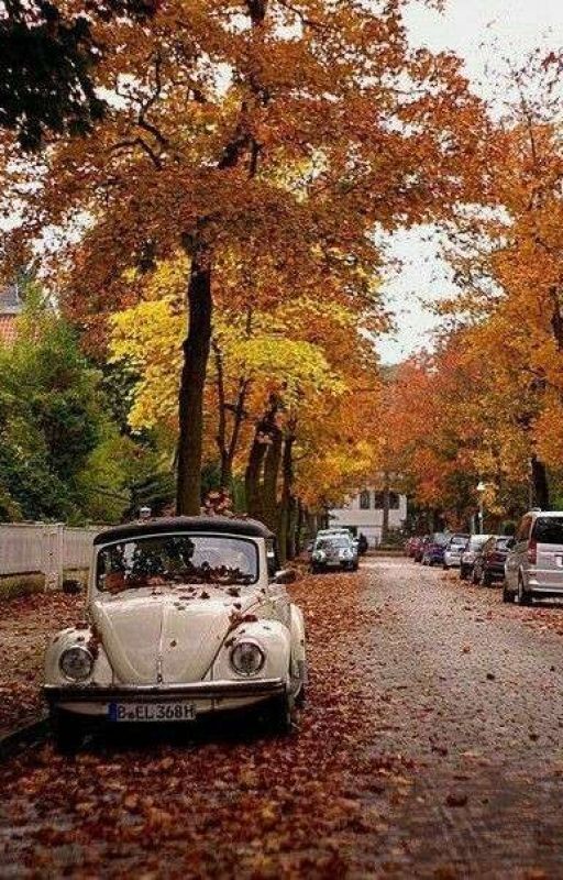 Маргарет