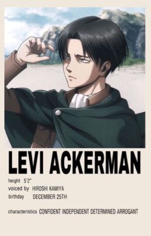 ATTACK ON TITAN | Y/N & LEVI
