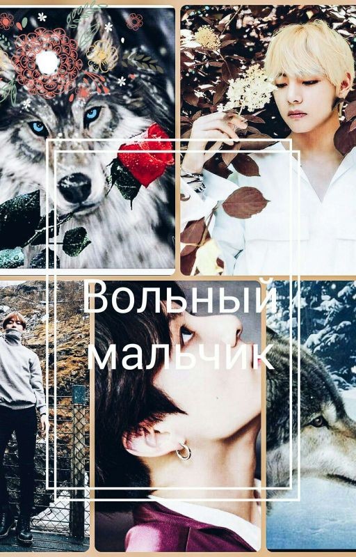 Вольный мальчик[VKOOK]