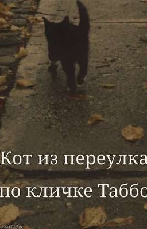 Кот из переулка по кличке Таббо