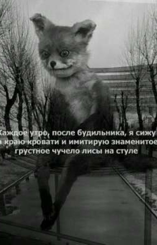 Мой сосед