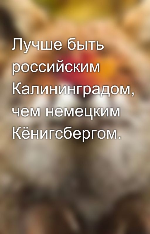 Лучше быть российским Калининградом, чем немецким Кёнигсбергом