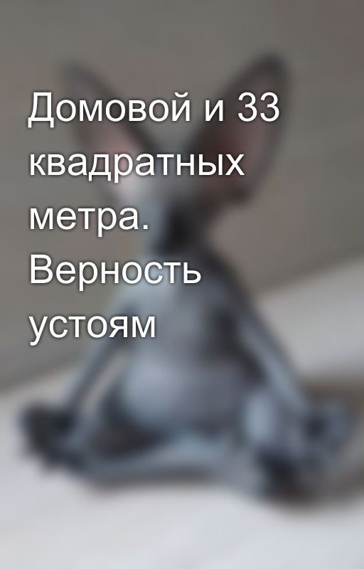 Домовой и 33 квадратных метра. Верность устоям