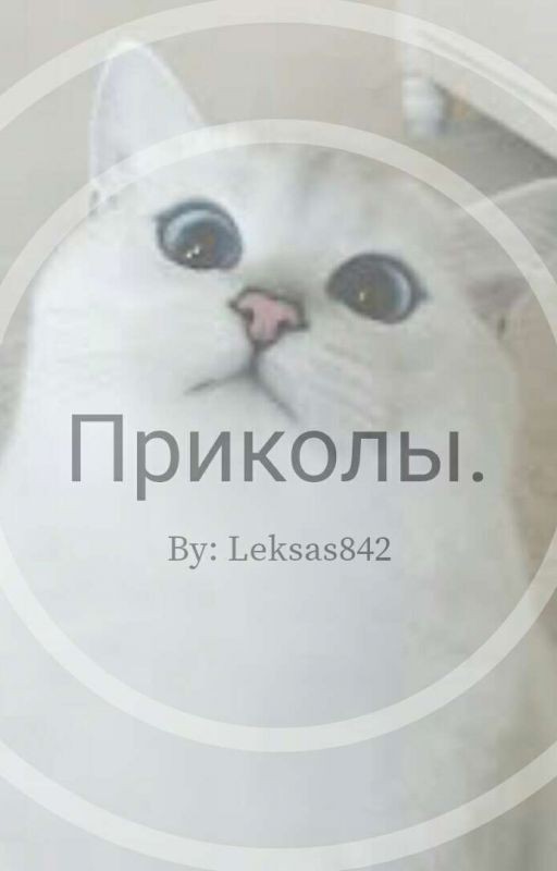 Приколы.[ЗАМОРОЖЕНО]