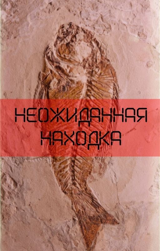 Неожиданная находка