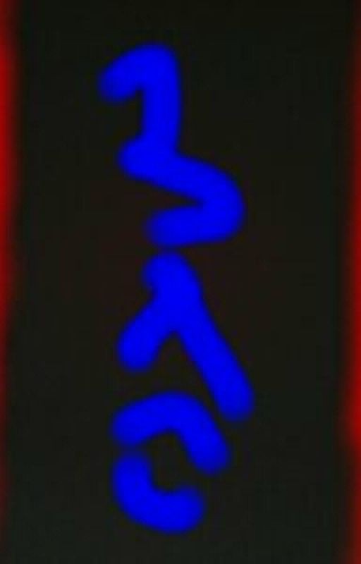 Zig Zag