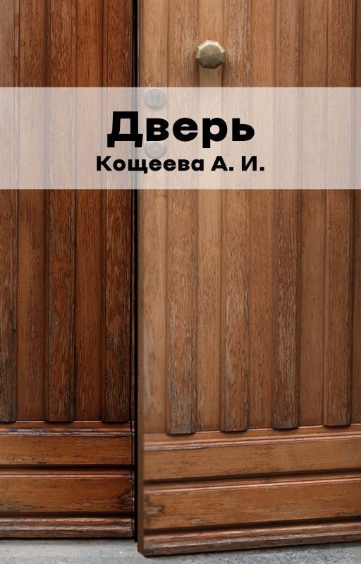 Дверь