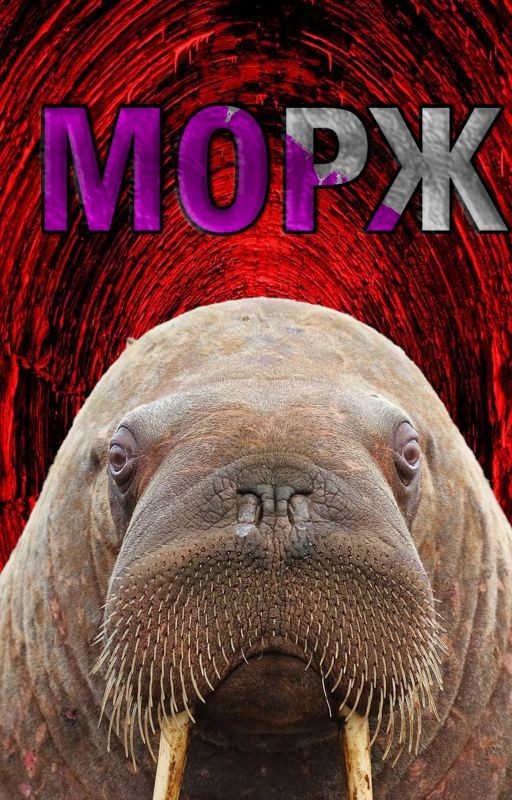 Морж
