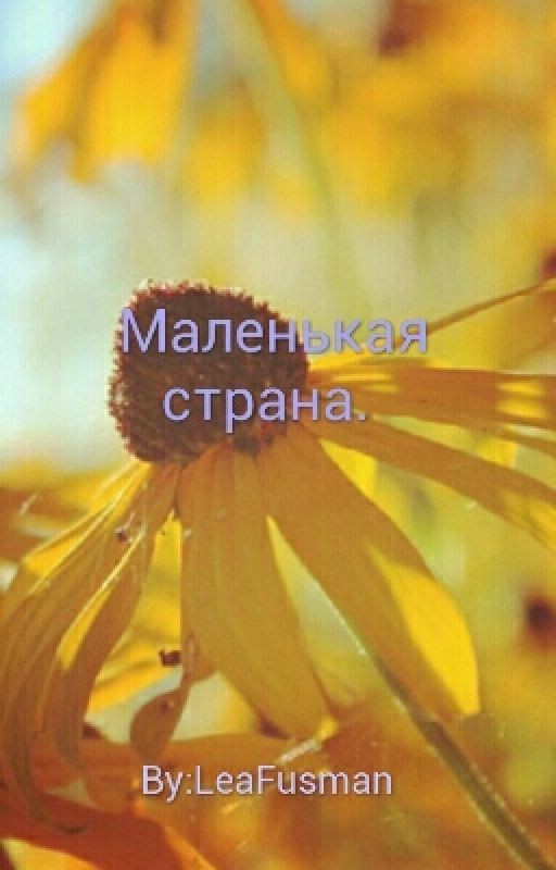 Маленькая страна