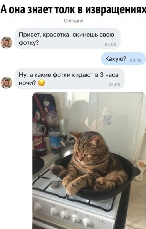 Бред в детских сочинениях