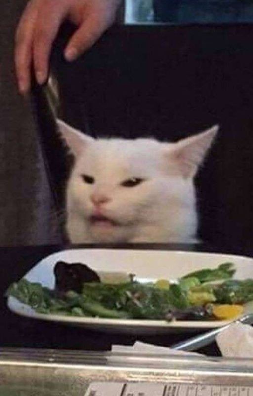 Мемы✨