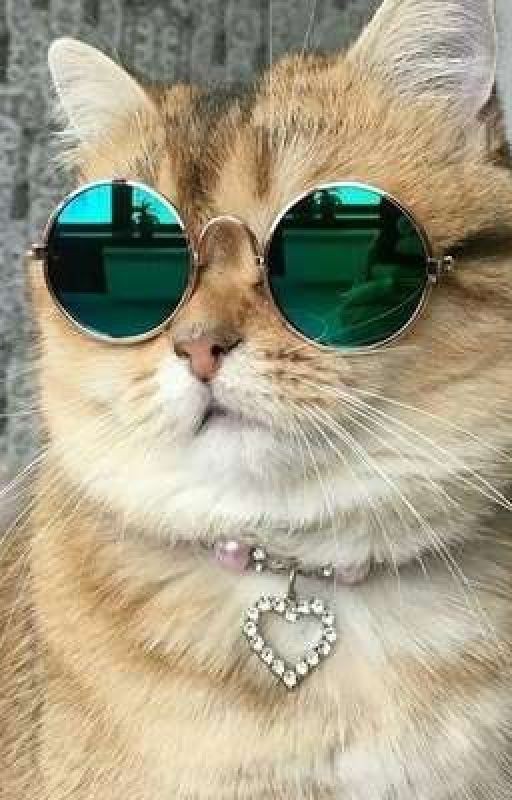 Юⲙⲟⲣ ⲏⲁ ⲕⲟⲗⲉⲏⲕⲉ😘