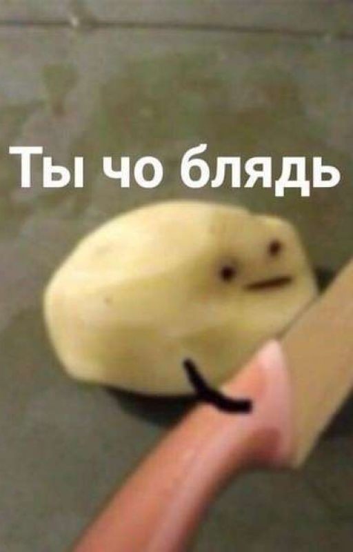 Мемы 2