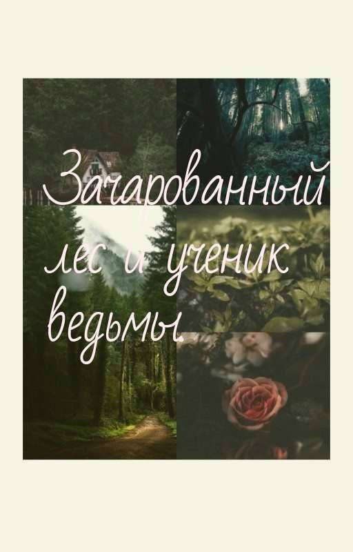 Зачарованный лес и ученик ведьмы
