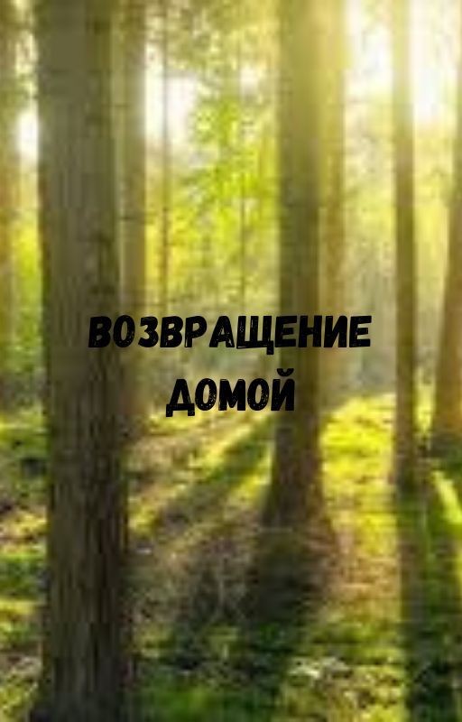 Возвращение домой