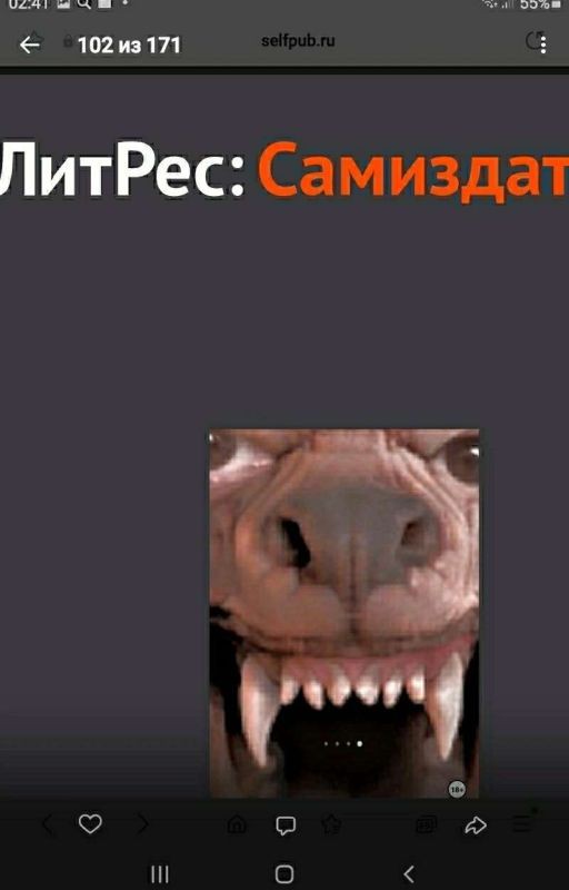 "СЕРЕБРЯНЫЙ УЖАС. Silver horror"