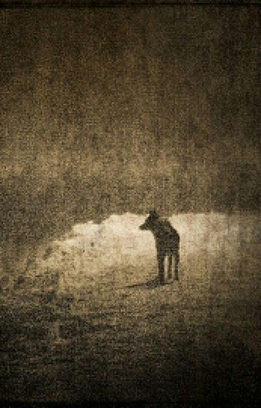 пес-призрак.Удивительная история девочки