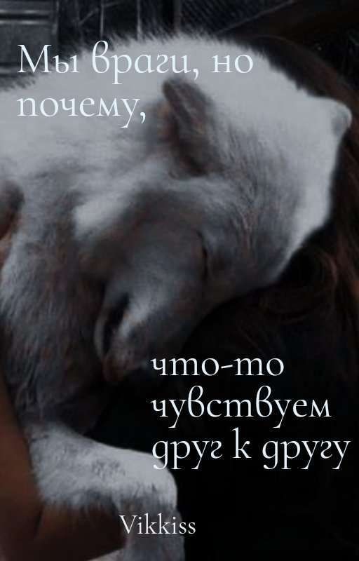 Мы враги, но почему, что-то чувствуем друг к другу?