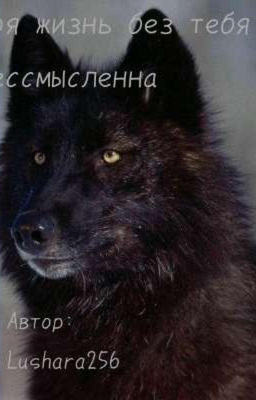 моя жизнь без тебя бессмысленна