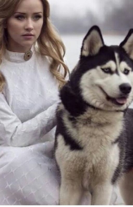 Моя Собака
