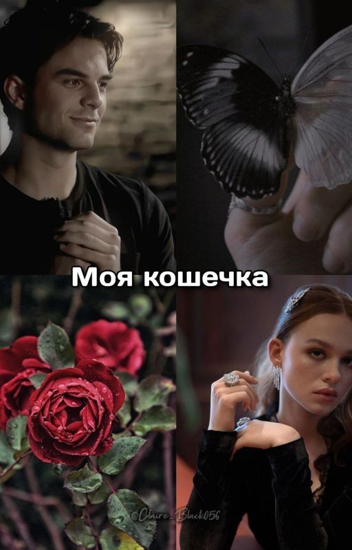 Моя кошечка